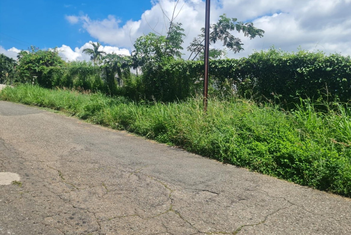Fifth image of 279 Lady Hamilton Drive in Kingston 19, St. Andrew, Jamaica - property is For Sale