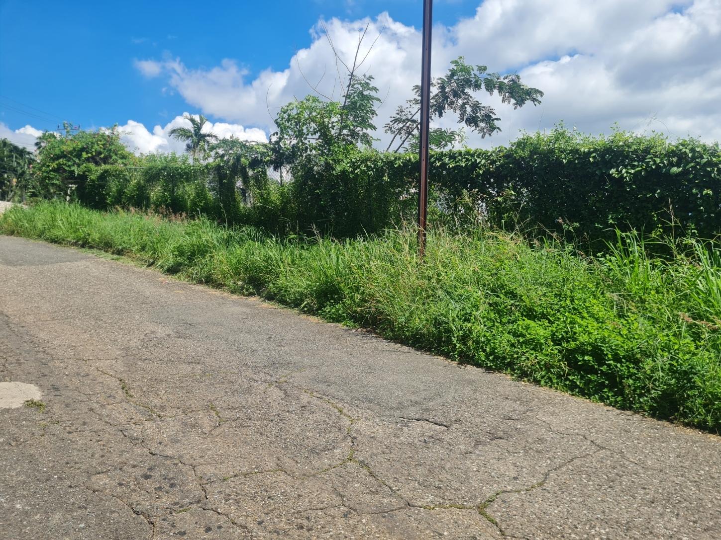 Residential-Lot-for-Sale-in-Chancery-Hall-Kingston-19-16500-sq.-ft Fifth image of 279 Lady Hamilton Drive in Kingston 19, St. Andrew, Jamaica - property is For Sale
