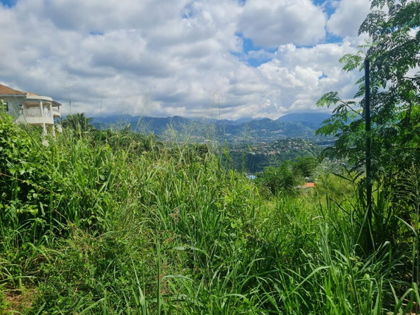 Seventh image of 279 Lady Hamilton Drive in Kingston 19, St. Andrew, Jamaica - property is For Sale