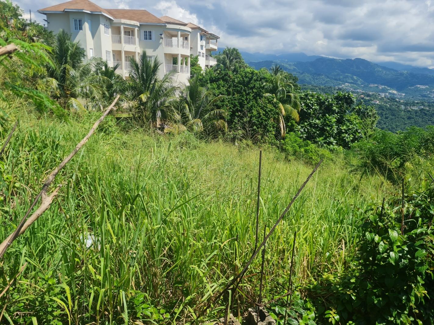Residential-Lot-for-Sale-in-Chancery-Hall-Kingston-19-16500-sq.-ft First image of 279 Lady Hamilton Drive in Kingston 19, St. Andrew, Jamaica - property is For Sale