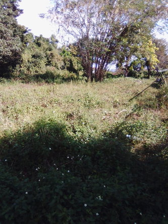 Second image of Lot 1 Part of Andersleigh in May Pen, Clarendon, Jamaica - property is For Sale