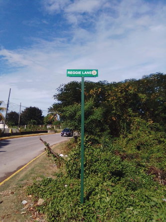 Third image of Lot 1 Part of Andersleigh in May Pen, Clarendon, Jamaica - property is For Sale