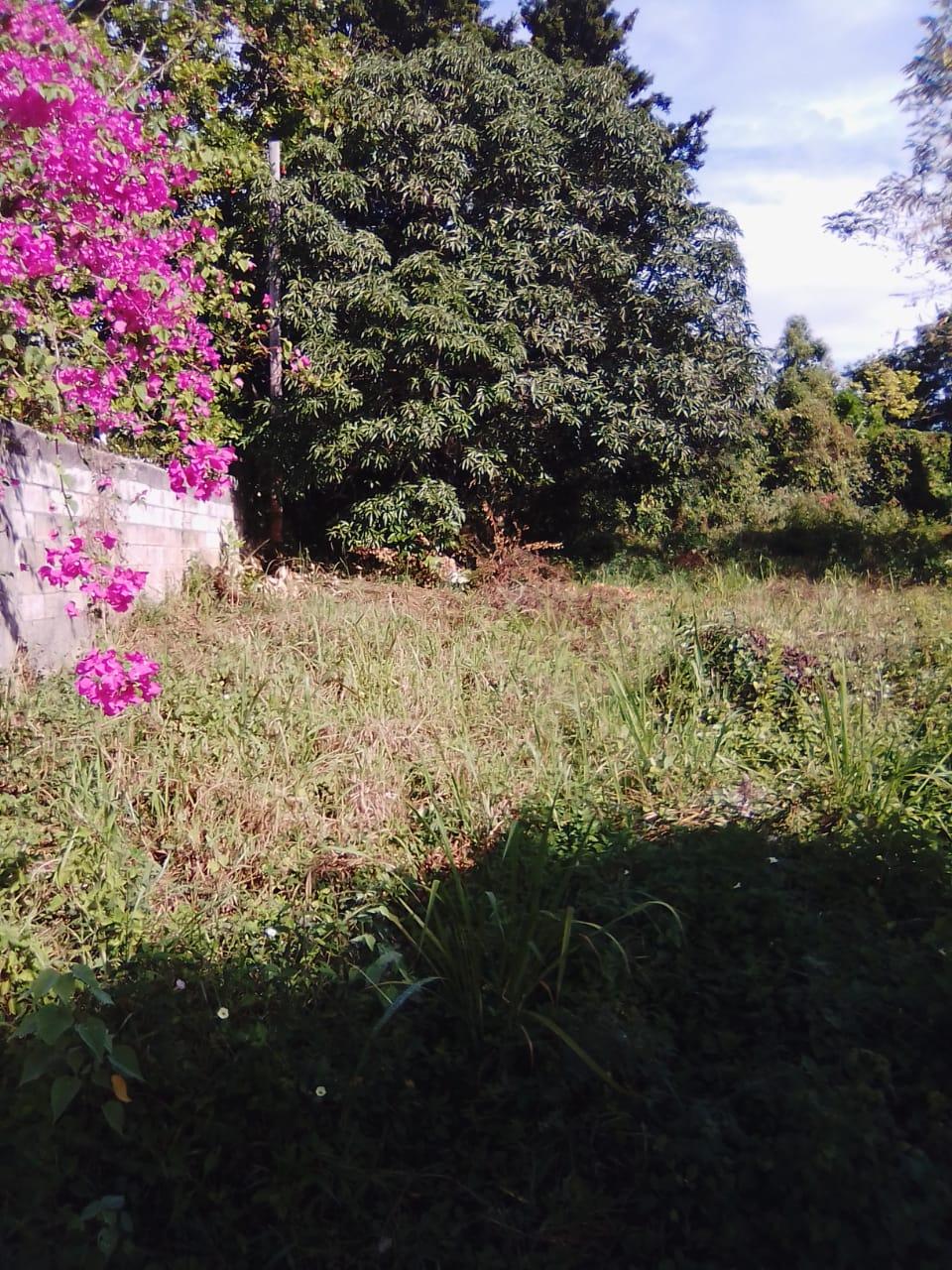 Fourth image of Lot 1 Part of Andersleigh in May Pen, Clarendon, Jamaica - property is For Sale