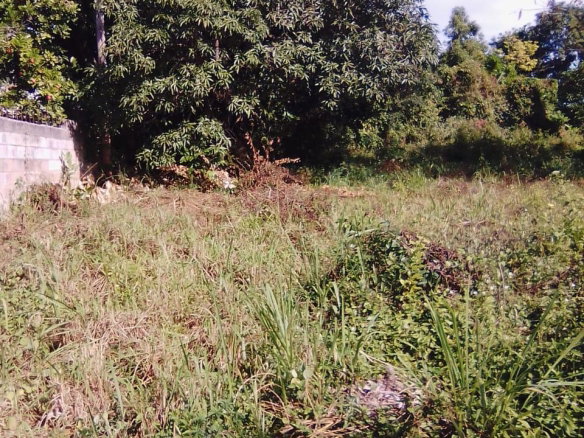 First image of Lot 1 Part of Andersleigh in May Pen, Clarendon, Jamaica - property is For Sale
