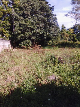 First image of Lot 1 Part of Andersleigh in May Pen, Clarendon, Jamaica - property is For Sale