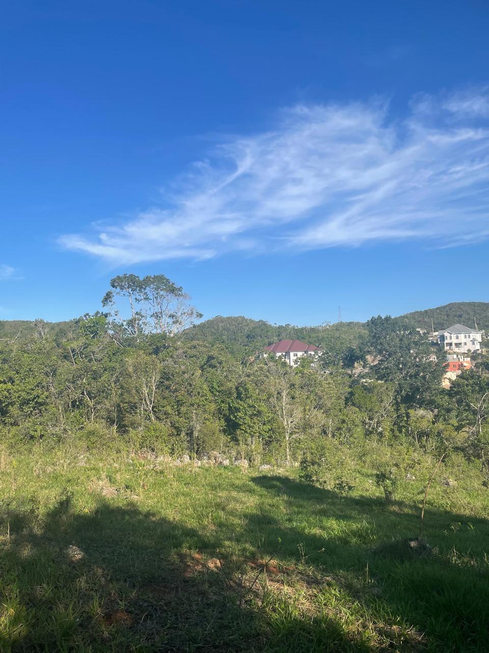 Second image of Part of Fairfield Mountai in Lincoln, Manchester, Jamaica - property is For Sale