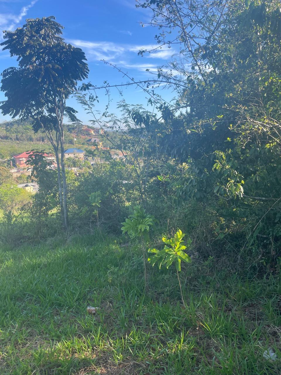 Eleventh image of Part of Fairfield Mountai in Lincoln, Manchester, Jamaica - property is For Sale