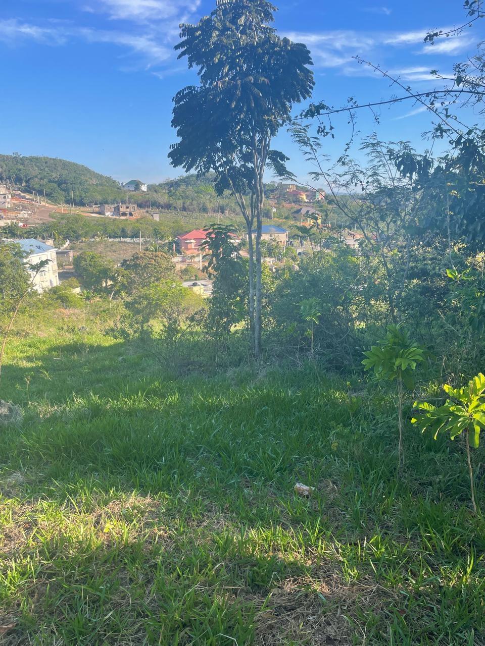 Twelfth image of Part of Fairfield Mountai in Lincoln, Manchester, Jamaica - property is For Sale