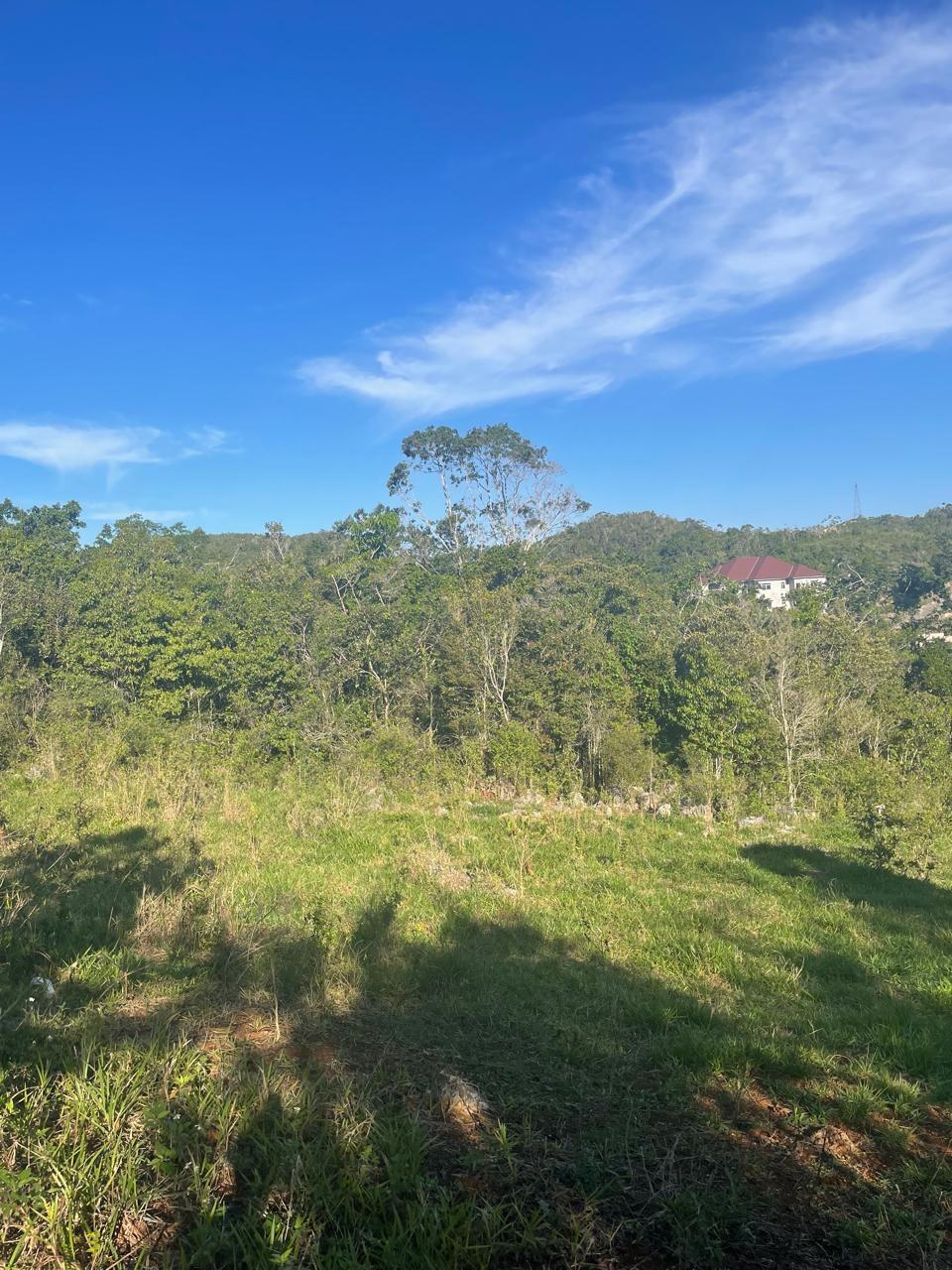 Thirteenth image of Part of Fairfield Mountai in Lincoln, Manchester, Jamaica - property is For Sale