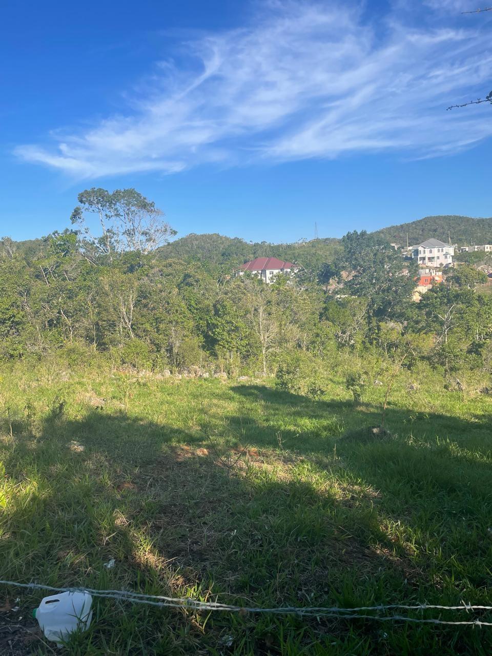 Third image of Part of Fairfield Mountai in Lincoln, Manchester, Jamaica - property is For Sale
