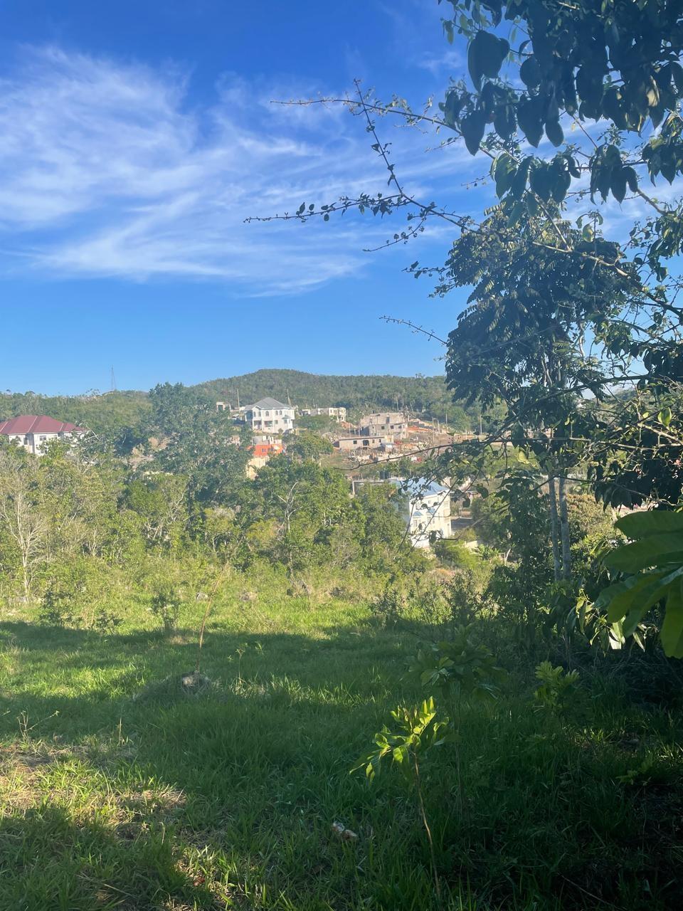 Fourth image of Part of Fairfield Mountai in Lincoln, Manchester, Jamaica - property is For Sale