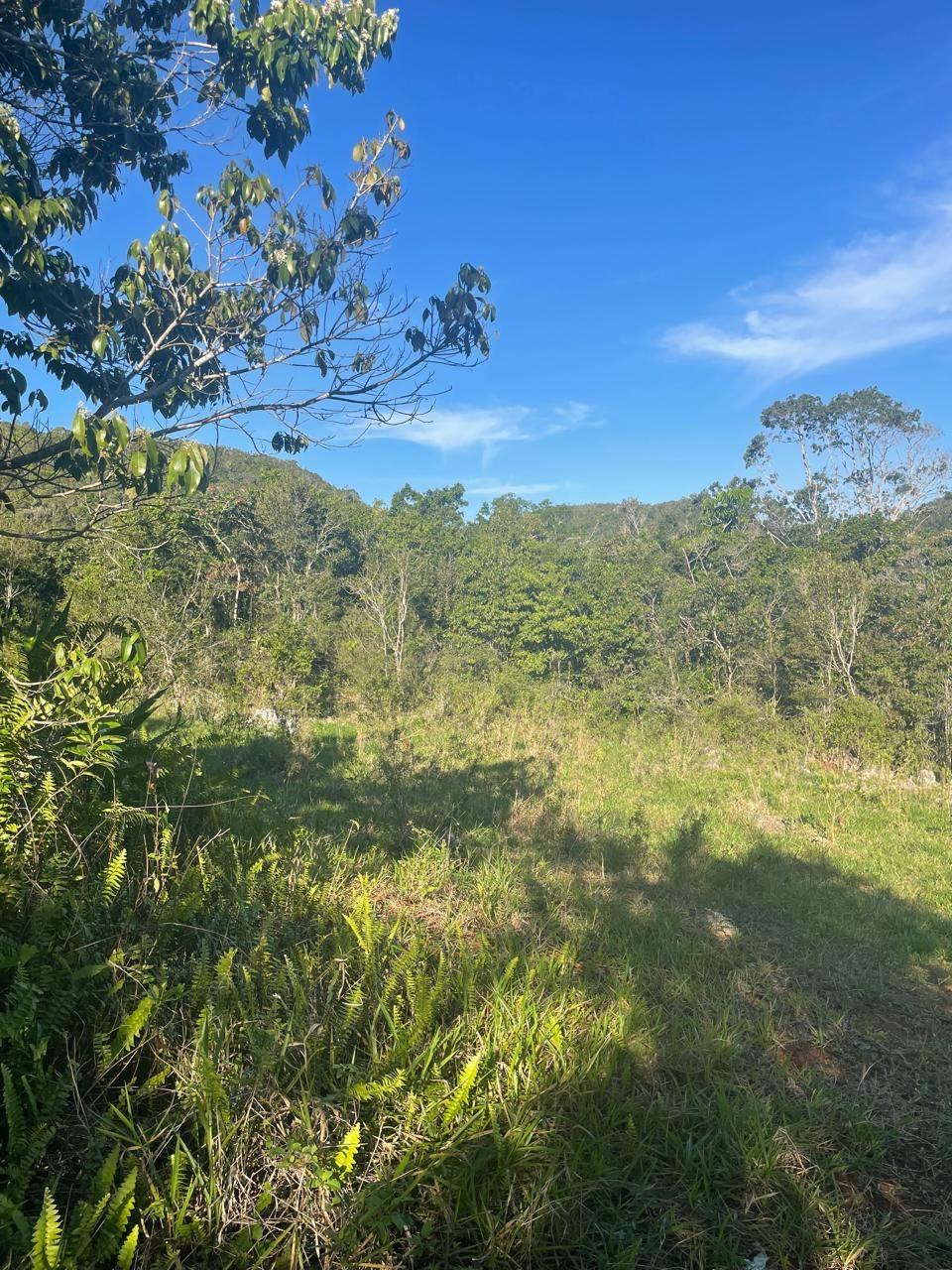 Fifth image of Part of Fairfield Mountai in Lincoln, Manchester, Jamaica - property is For Sale