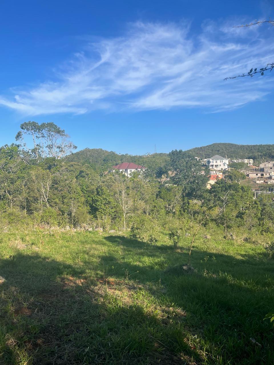 Sixth image of Part of Fairfield Mountai in Lincoln, Manchester, Jamaica - property is For Sale