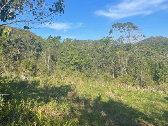 First image of Part of Fairfield Mountai in Lincoln, Manchester, Jamaica - property is For Sale
