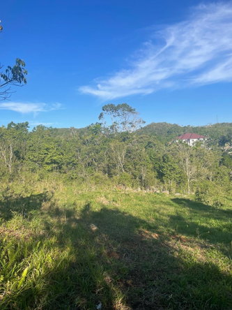 Seventh image of Part of Fairfield Mountai in Lincoln, Manchester, Jamaica - property is For Sale