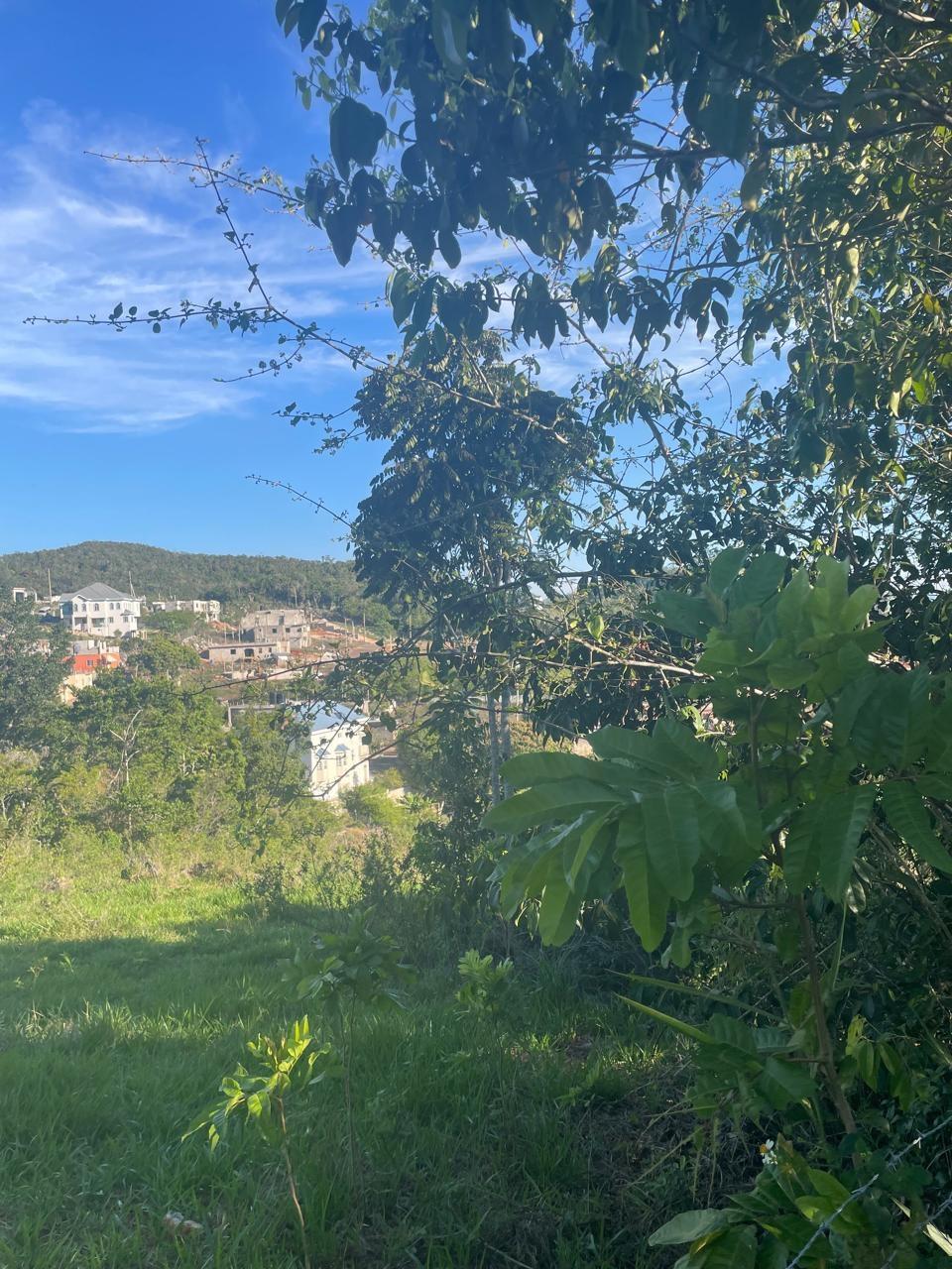 Eighth image of Part of Fairfield Mountai in Lincoln, Manchester, Jamaica - property is For Sale