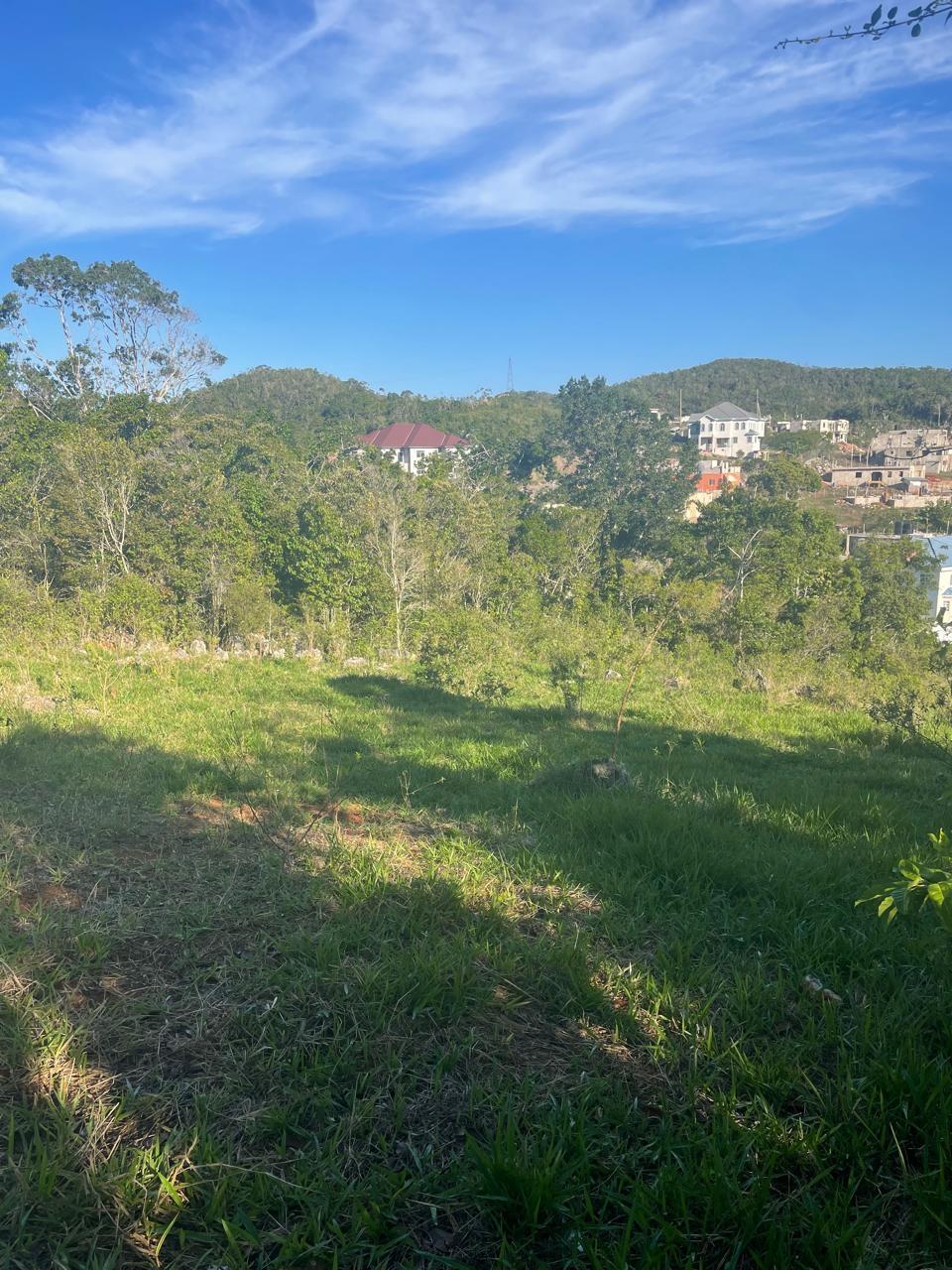 Ninth image of Part of Fairfield Mountai in Lincoln, Manchester, Jamaica - property is For Sale
