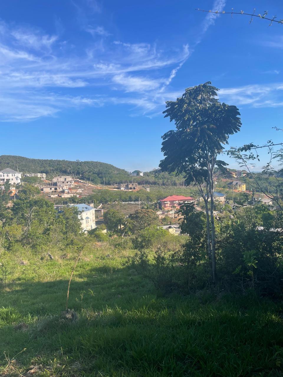 Tenth image of Part of Fairfield Mountai in Lincoln, Manchester, Jamaica - property is For Sale