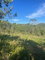 First image of Part of Fairfield Mountai in Lincoln, Manchester, Jamaica - property is For Sale