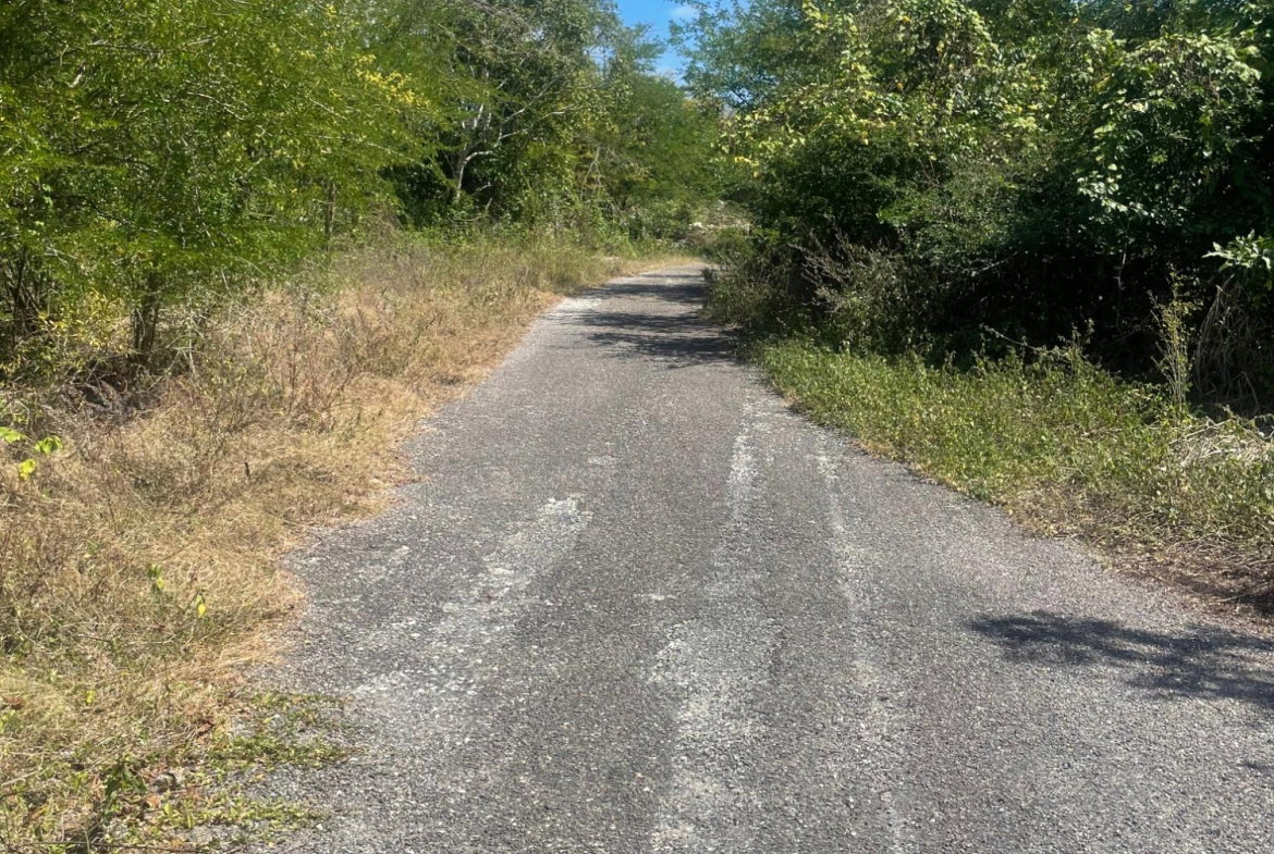Second image of Lot 11 Pedro Pen in Pedro Pen, Hanover, Jamaica - property is For Sale