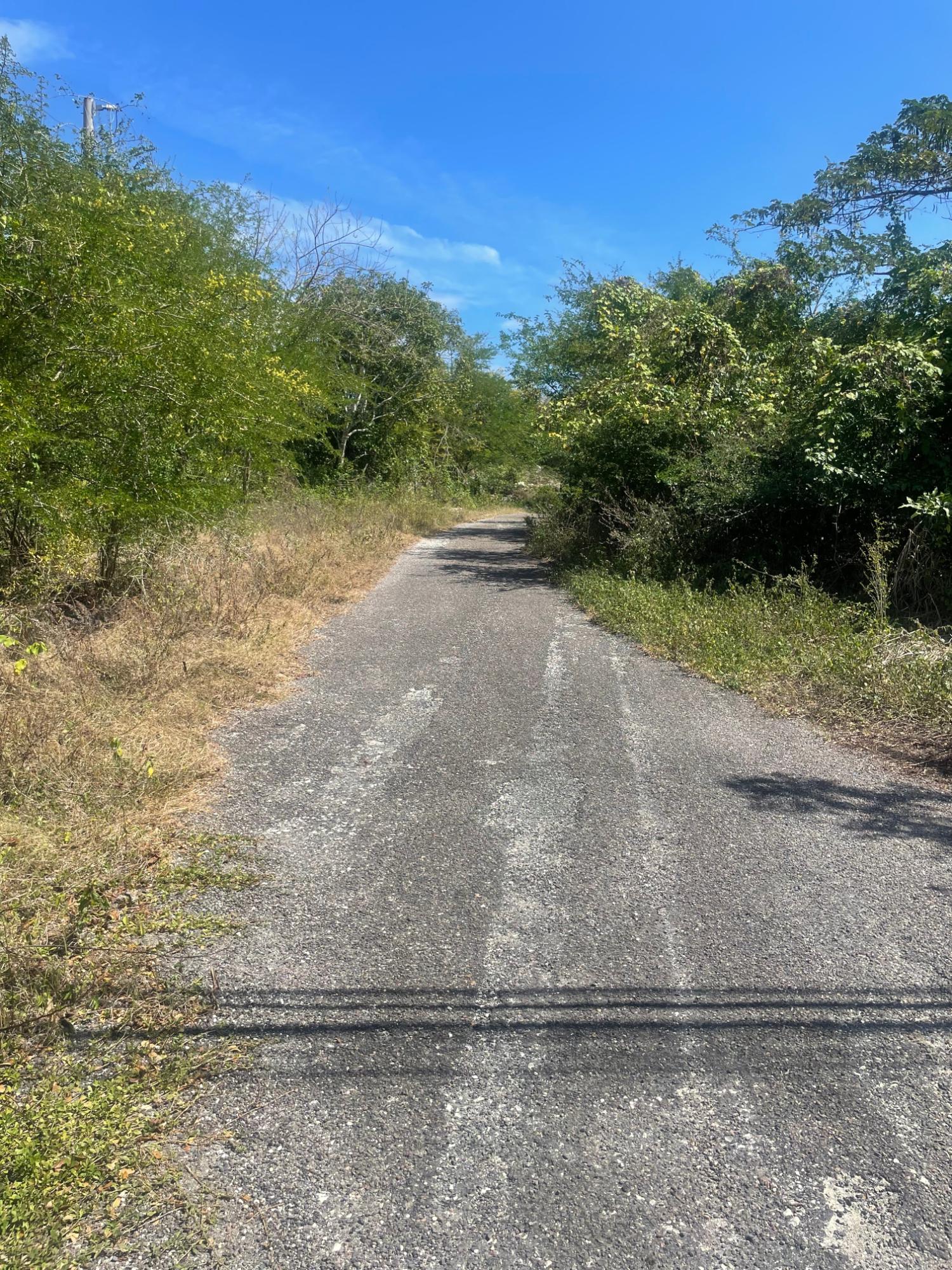 Second image of Lot 11 Pedro Pen in Pedro Pen, Hanover, Jamaica - property is For Sale