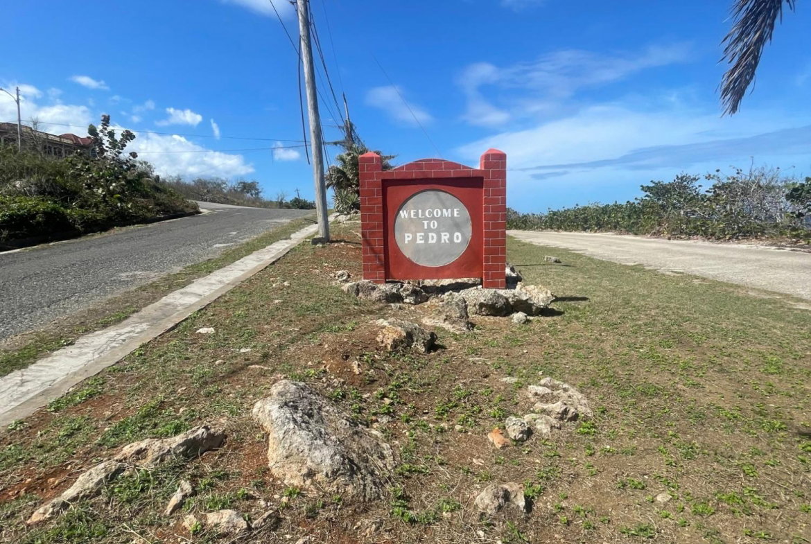 First image of Lot 11 Pedro Pen in Pedro Pen, Hanover, Jamaica - property is For Sale