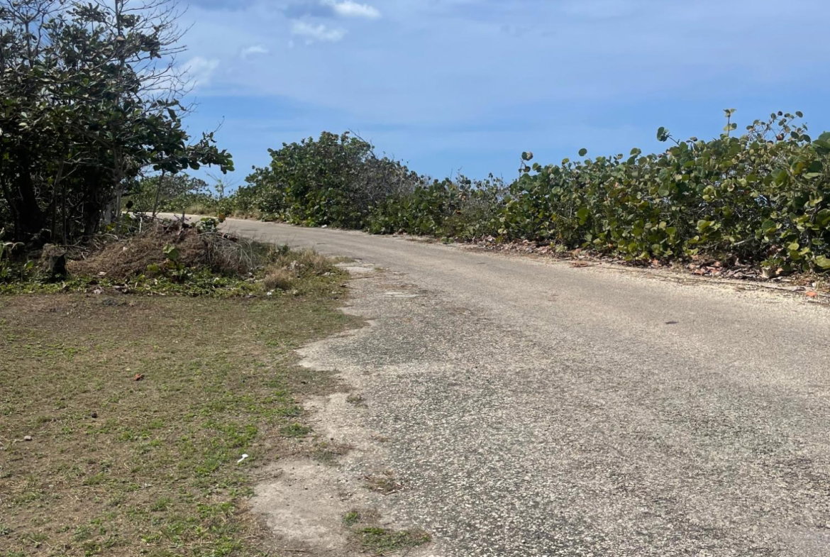 Third image of Lot 11 Pedro Pen in Pedro Pen, Hanover, Jamaica - property is For Sale