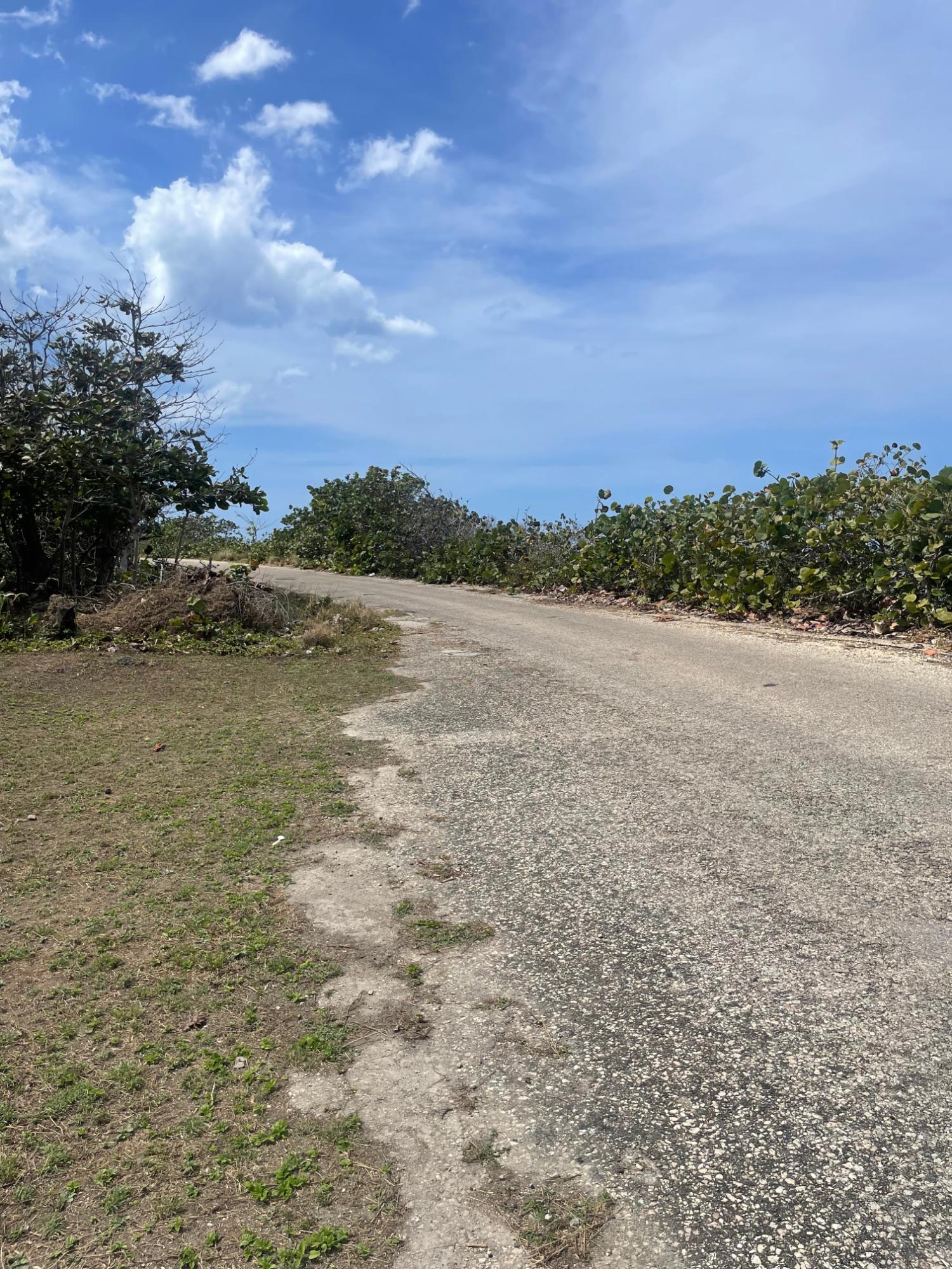 Third image of Lot 11 Pedro Pen in Pedro Pen, Hanover, Jamaica - property is For Sale