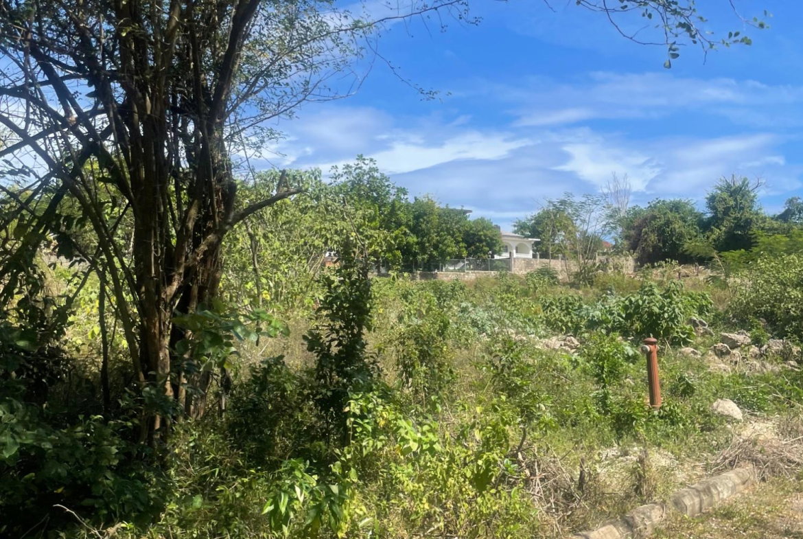 Fourth image of Lot 11 Pedro Pen in Pedro Pen, Hanover, Jamaica - property is For Sale