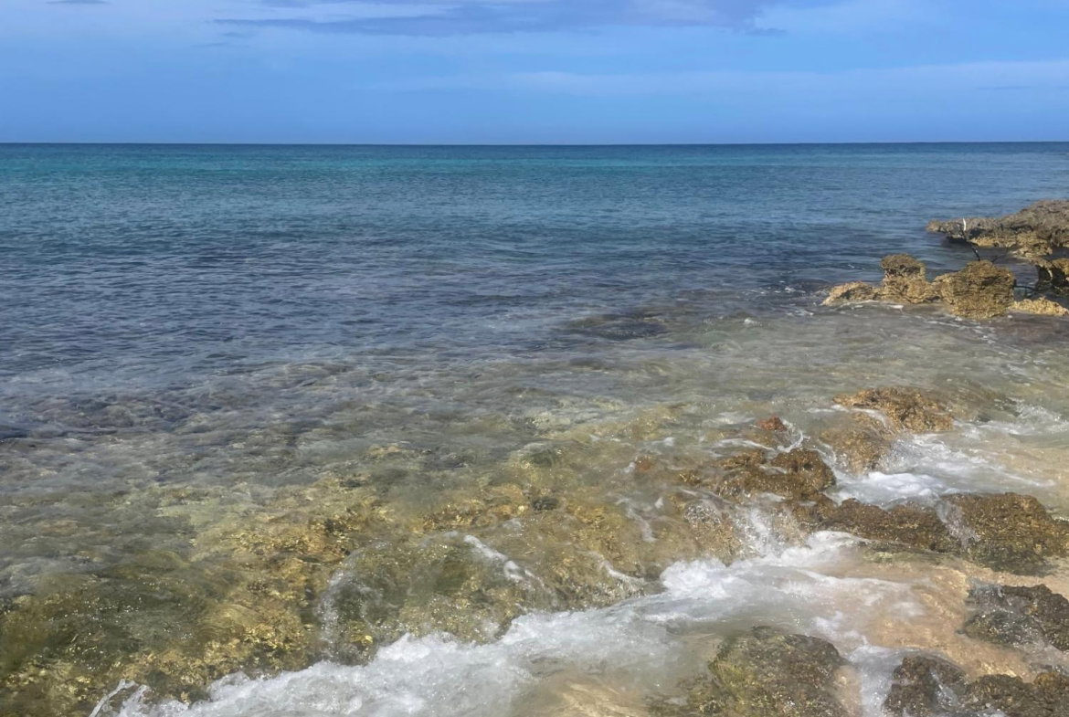 Fifth image of Lot 11 Pedro Pen in Pedro Pen, Hanover, Jamaica - property is For Sale