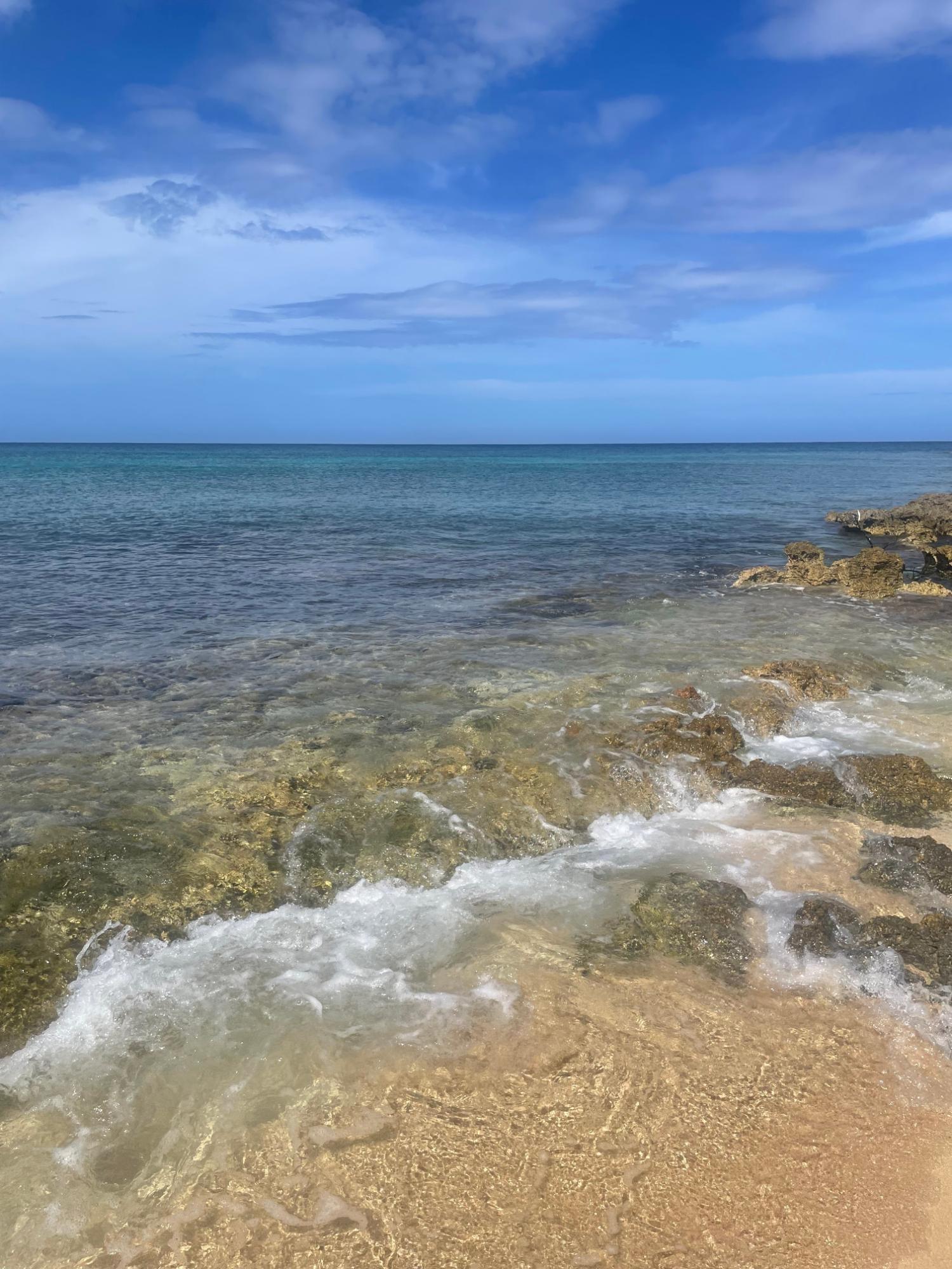 Fifth image of Lot 11 Pedro Pen in Pedro Pen, Hanover, Jamaica - property is For Sale