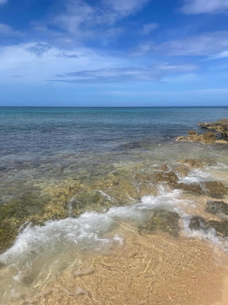 Fifth image of Lot 11 Pedro Pen in Pedro Pen, Hanover, Jamaica - property is For Sale