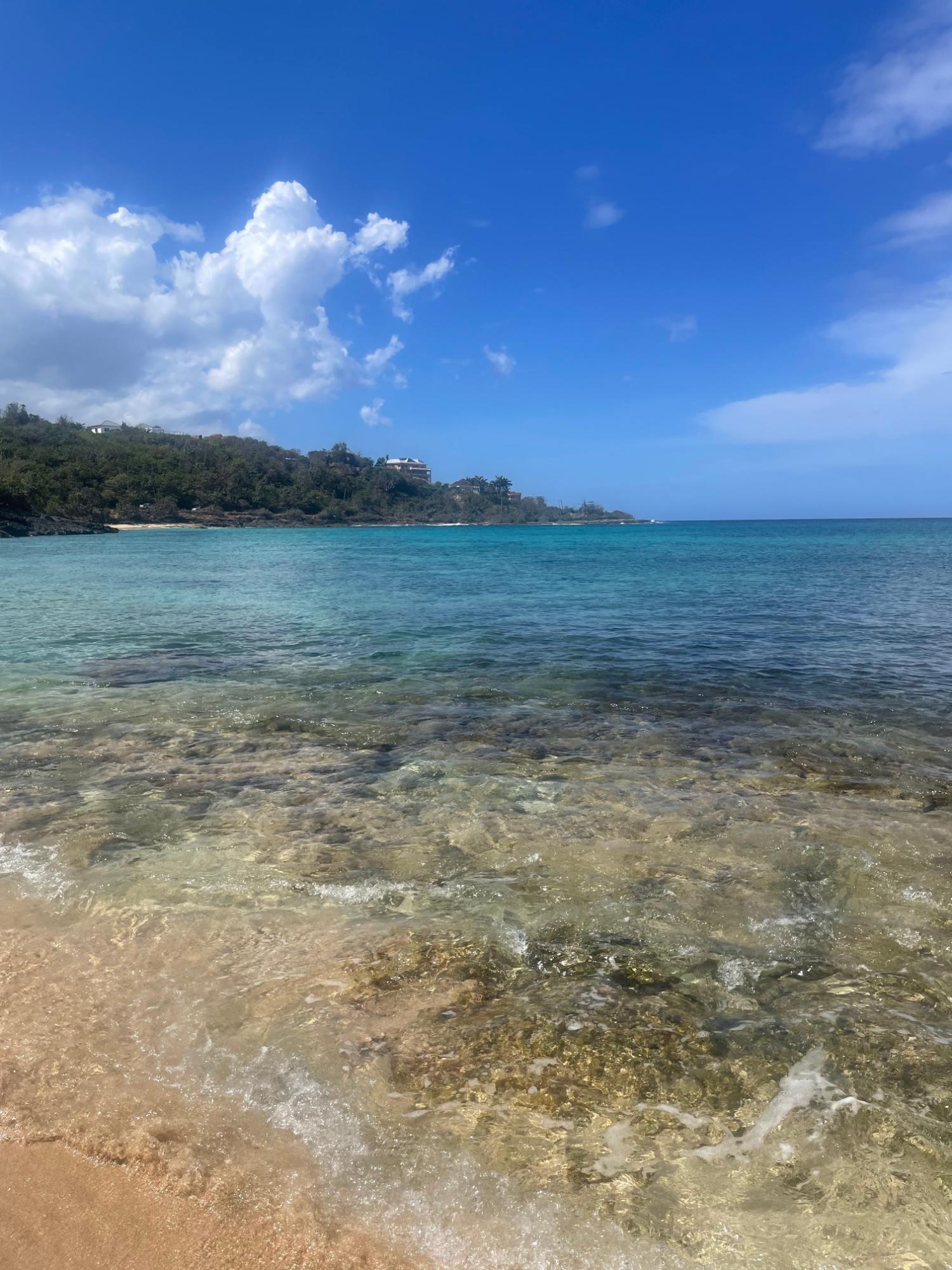 Sixth image of Lot 11 Pedro Pen in Pedro Pen, Hanover, Jamaica - property is For Sale