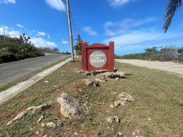 First image of Lot 11 Pedro Pen in Pedro Pen, Hanover, Jamaica - property is For Sale