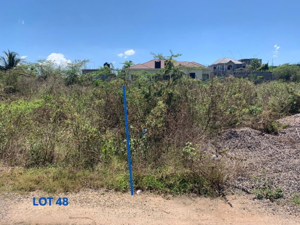 Seventh image of 48 Hartwell Gradens in Chateau, Clarendon, Jamaica - property is For Sale