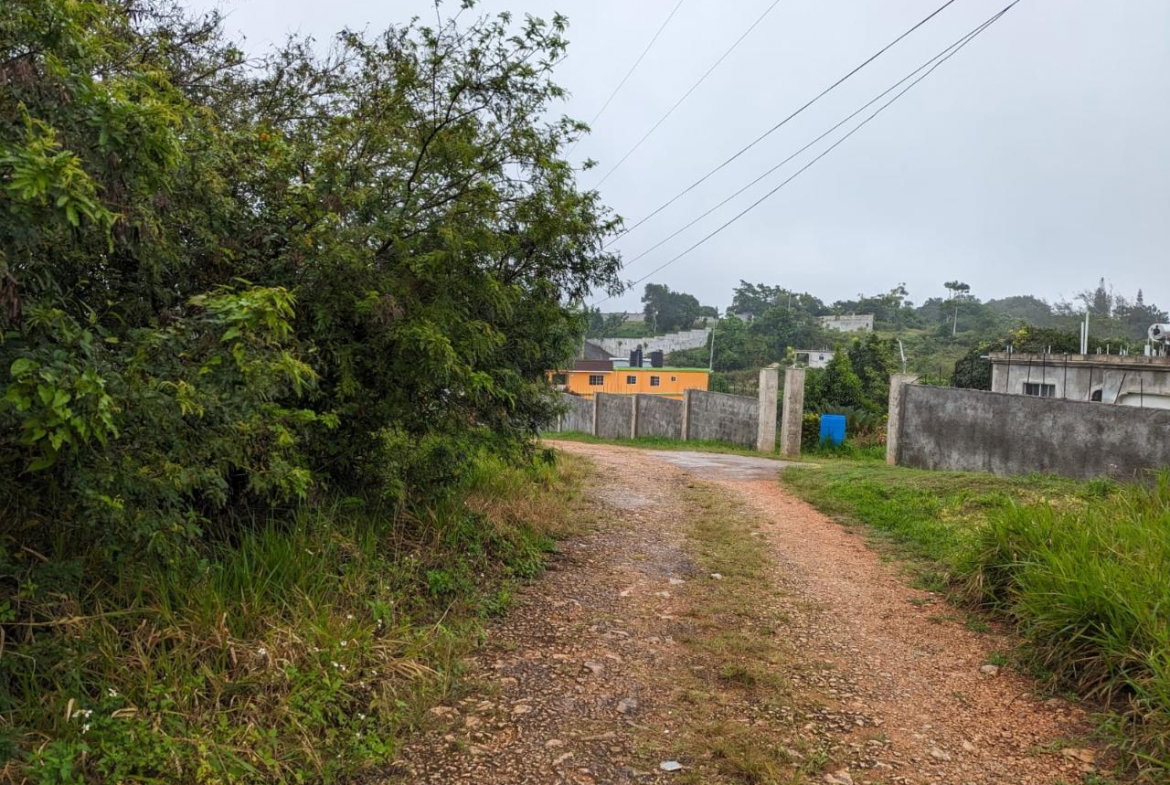 Second image of Lot-19 Cedar Grove in Mandeville, Manchester, Jamaica - property is For Sale