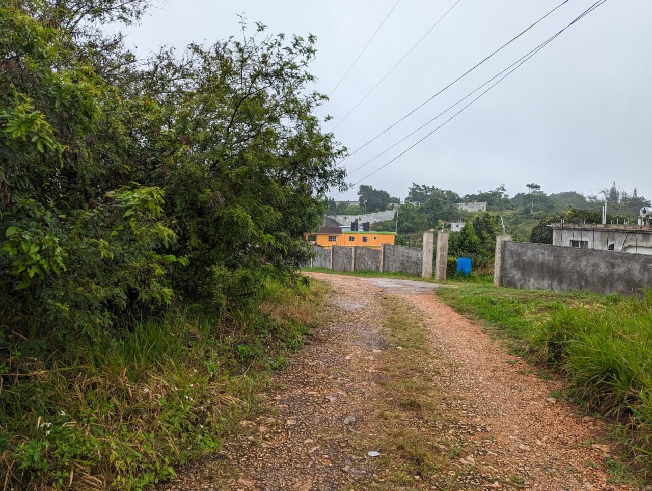 Residential-Lot-for-Sale-in-Jamaica-Lot-19-Cedar-Grove Second image of Lot-19 Cedar Grove in Mandeville, Manchester, Jamaica - property is For Sale
