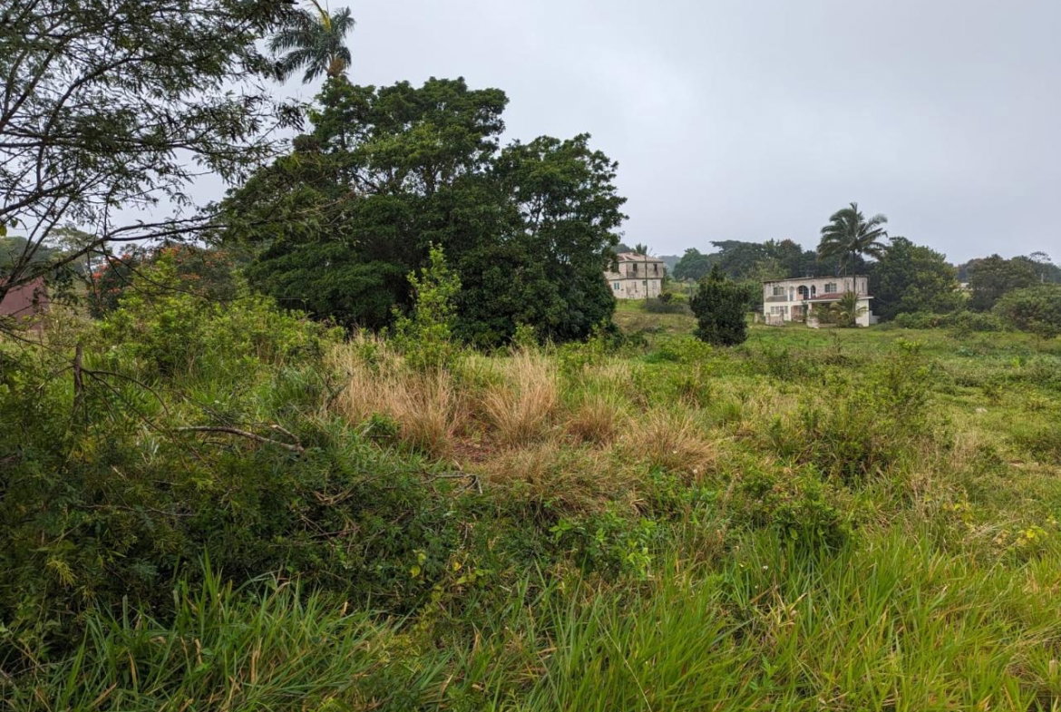 First image of Lot-19 Cedar Grove in Mandeville, Manchester, Jamaica - property is For Sale