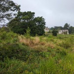 First image of Lot-19 Cedar Grove in Mandeville, Manchester, Jamaica - property is For Sale