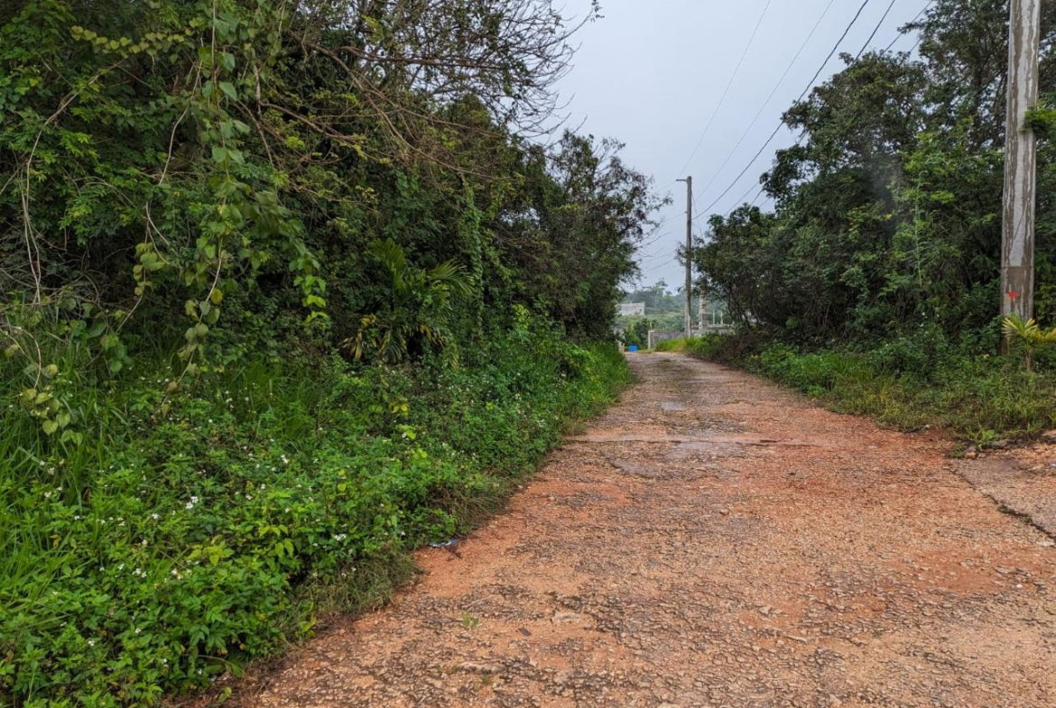 Third image of Lot-19 Cedar Grove in Mandeville, Manchester, Jamaica - property is For Sale