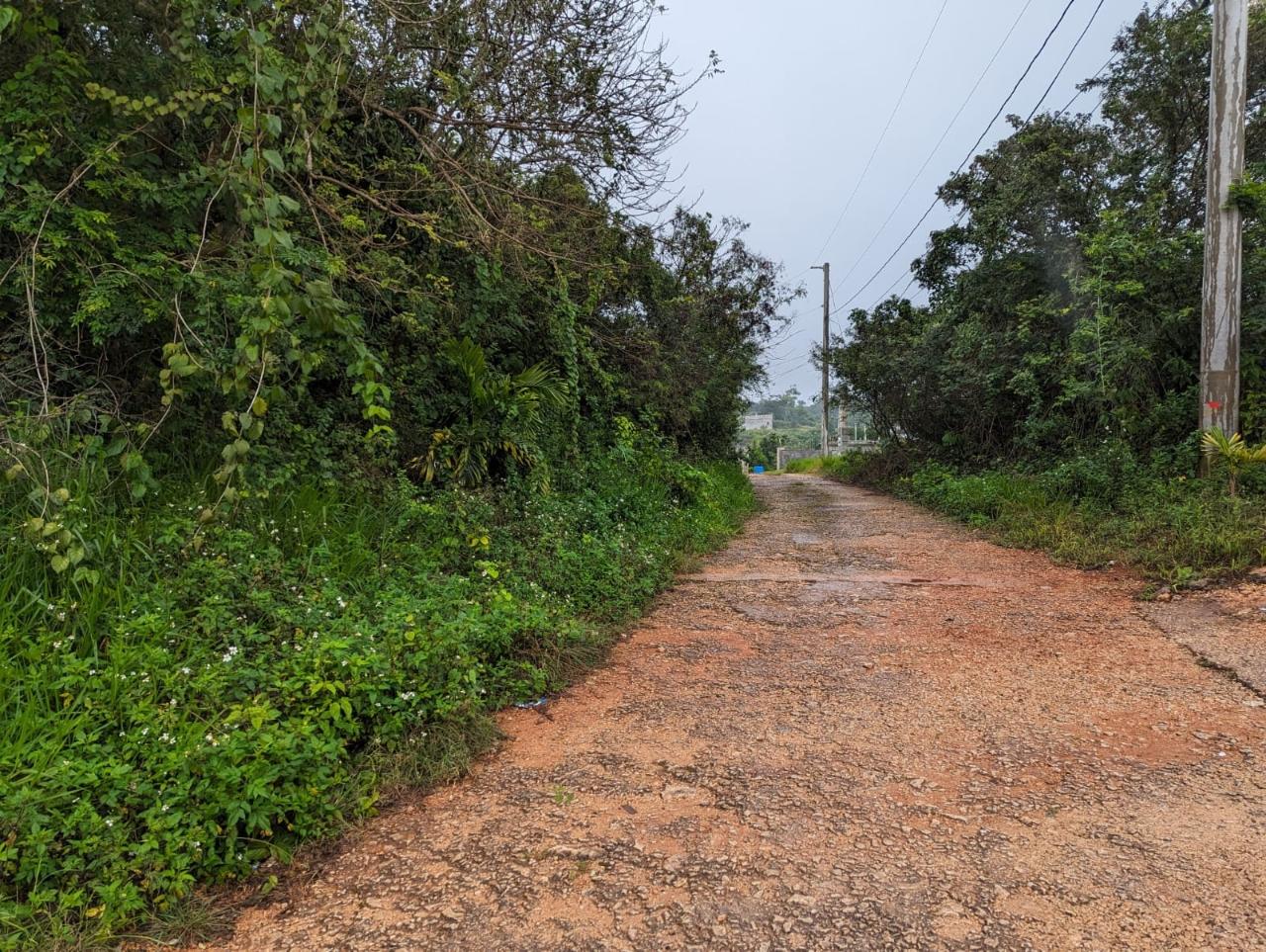Residential-Lot-for-Sale-in-Jamaica-Lot-19-Cedar-Grove Third image of Lot-19 Cedar Grove in Mandeville, Manchester, Jamaica - property is For Sale