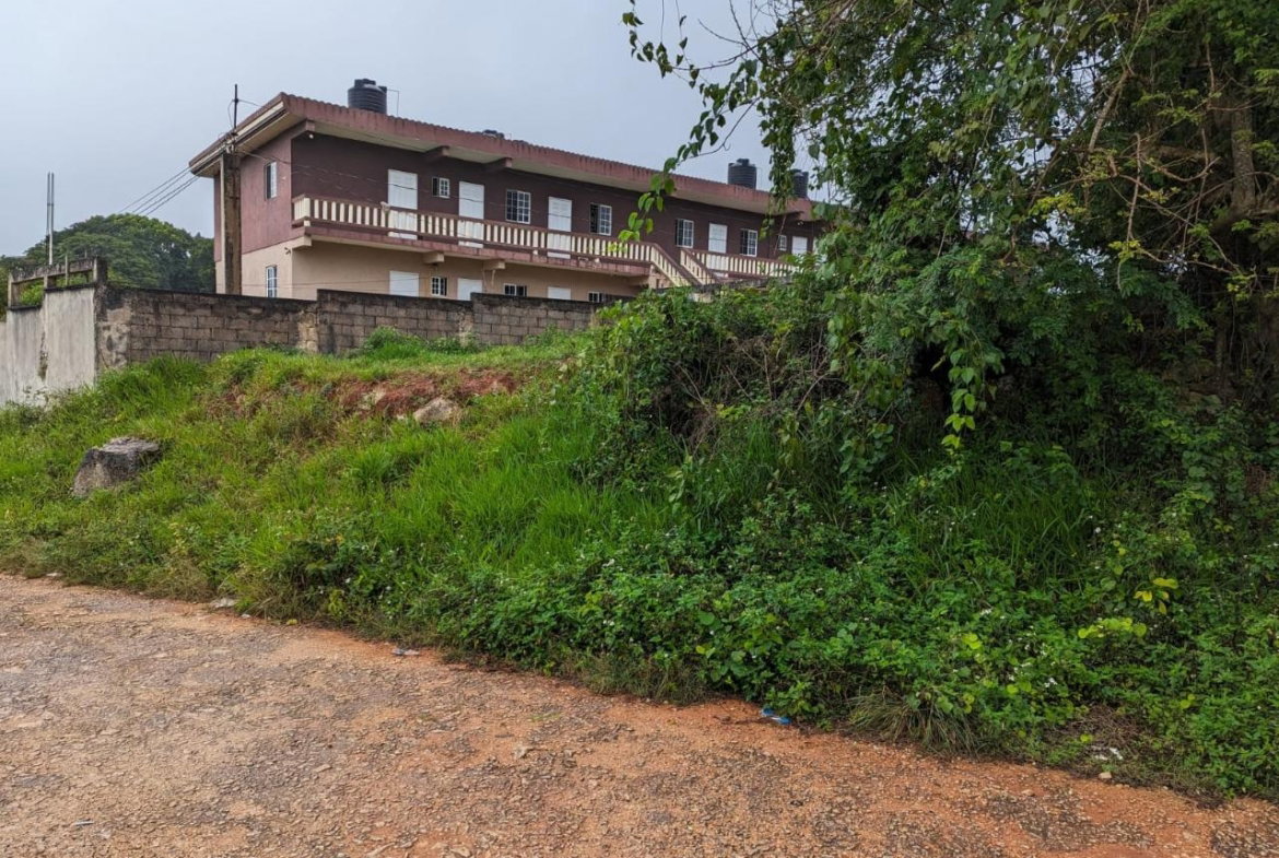 Fourth image of Lot-19 Cedar Grove in Mandeville, Manchester, Jamaica - property is For Sale