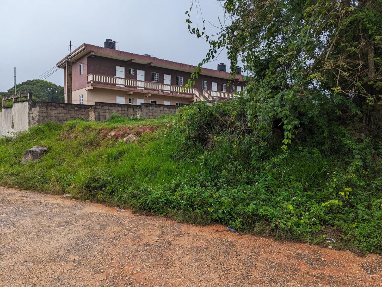Residential-Lot-for-Sale-in-Jamaica-Lot-19-Cedar-Grove Fourth image of Lot-19 Cedar Grove in Mandeville, Manchester, Jamaica - property is For Sale