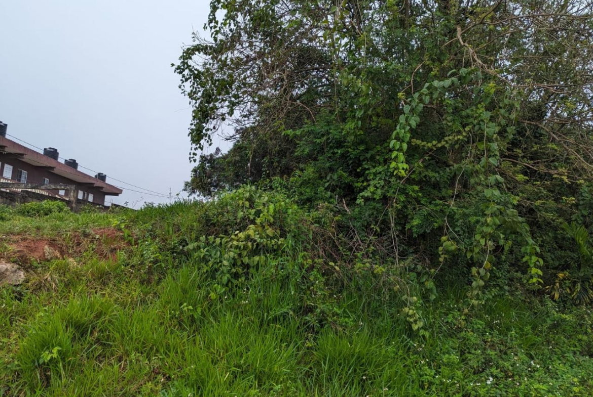 Fifth image of Lot-19 Cedar Grove in Mandeville, Manchester, Jamaica - property is For Sale