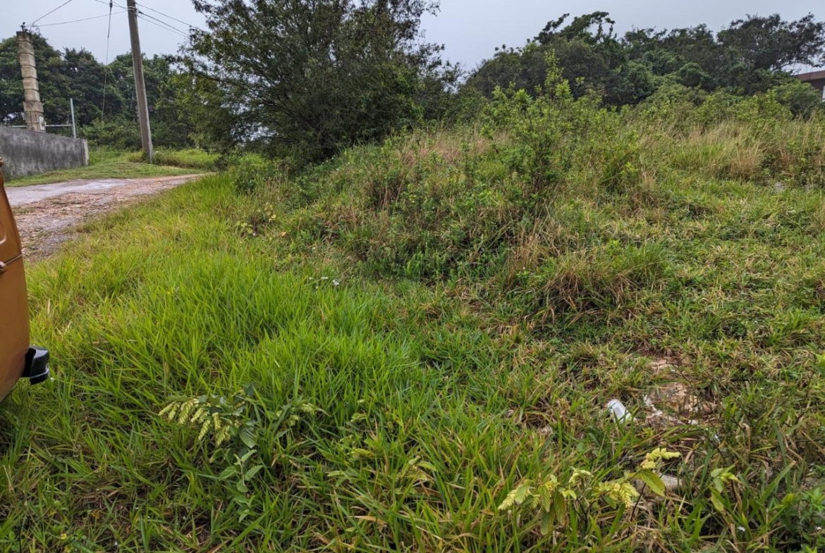 Sixth image of Lot-19 Cedar Grove in Mandeville, Manchester, Jamaica - property is For Sale
