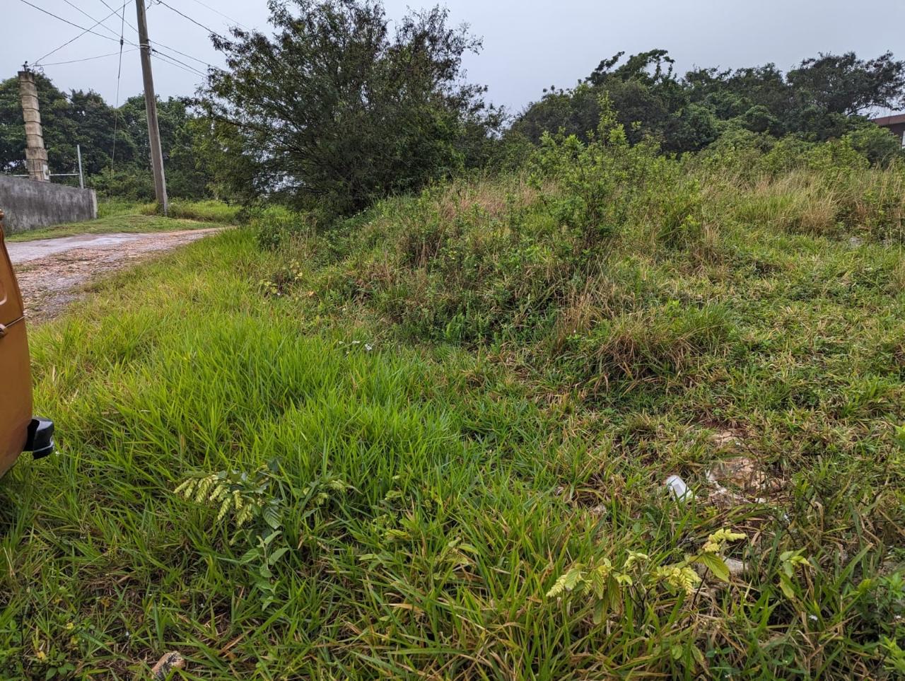 Residential-Lot-for-Sale-in-Jamaica-Lot-19-Cedar-Grove Sixth image of Lot-19 Cedar Grove in Mandeville, Manchester, Jamaica - property is For Sale
