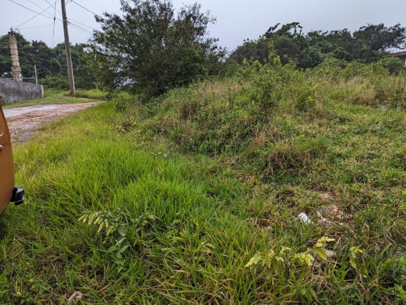 Sixth image of Lot-19 Cedar Grove in Mandeville, Manchester, Jamaica - property is For Sale