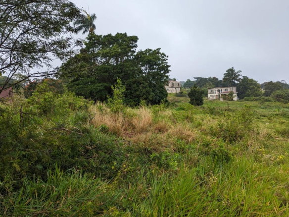 First image of Lot-19 Cedar Grove in Mandeville, Manchester, Jamaica - property is For Sale