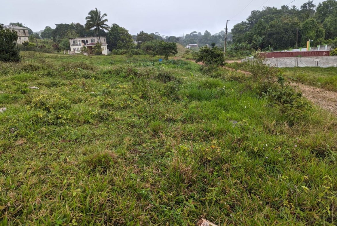 Seventh image of Lot-19 Cedar Grove in Mandeville, Manchester, Jamaica - property is For Sale