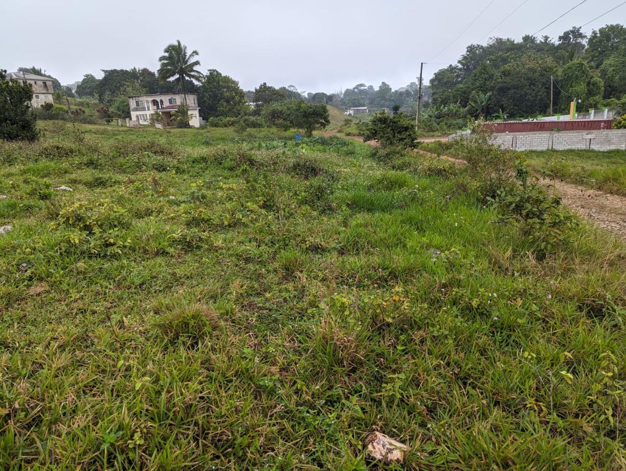 Residential-Lot-for-Sale-in-Jamaica-Lot-19-Cedar-Grove Seventh image of Lot-19 Cedar Grove in Mandeville, Manchester, Jamaica - property is For Sale